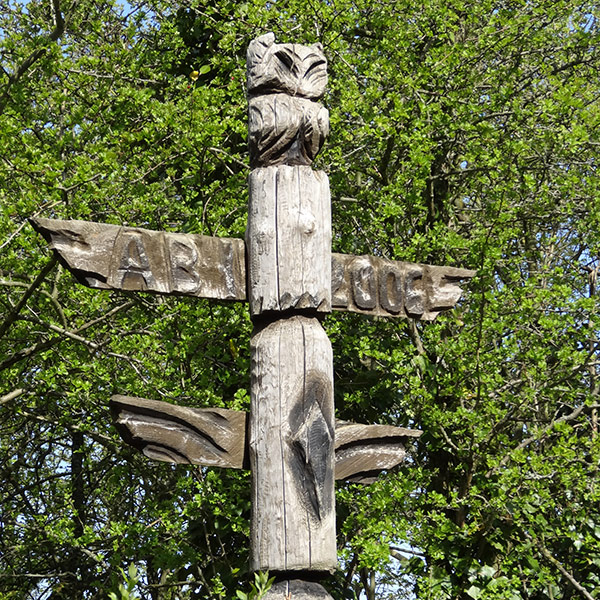 3-Abiturjahrgänge